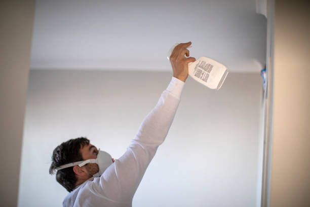 Best Mold Remediation for Schools in Pacheco, CA