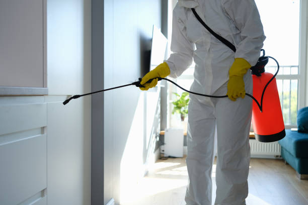 Best HVAC Mold Remediation in Pacheco, CA