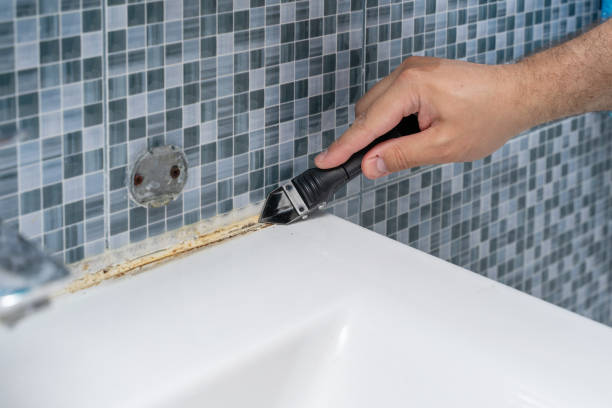 Best DIY Mold Remediation Support Services in Pacheco, CA